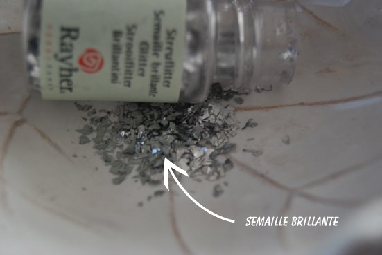 Semaille brillante glitter
