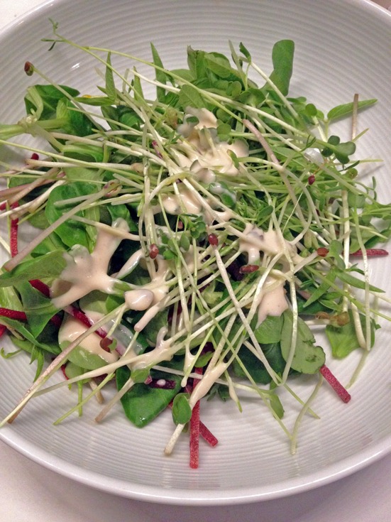 Salade avec des graines germées