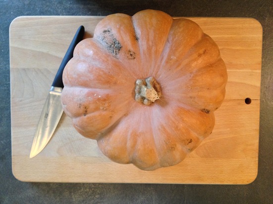 Courge musquée