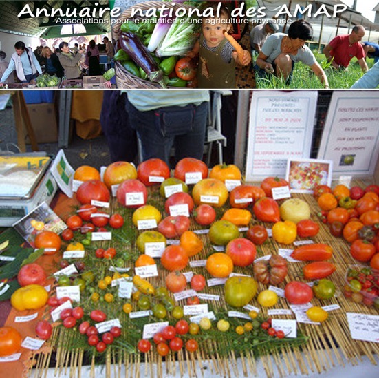 AMAP