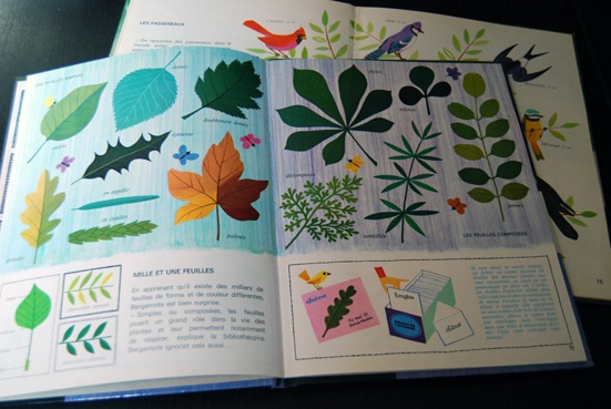 Album Les Plantes d'Alain Grée