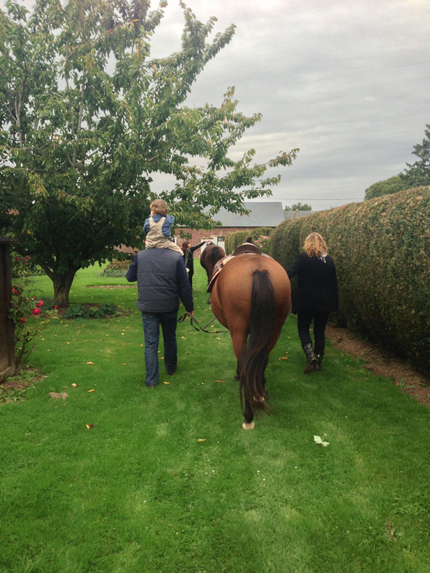 On rentre les chevaux