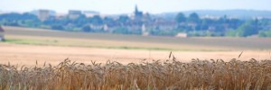Lire la suite à propos de l’article Bye bye l’été