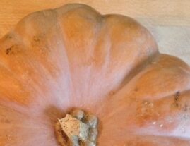 On peut manger des graines sans se prendre pour une poule
