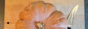 Lire la suite à propos de l’article On peut manger des graines sans se prendre pour une poule