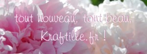 Lire la suite à propos de l’article Kraftille déménage !