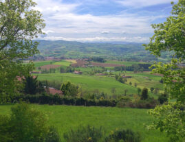 Ballade bucolique dans les Monts du Lyonnais