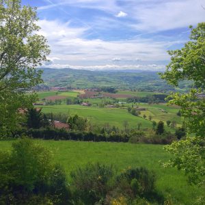 Lire la suite à propos de l’article Ballade bucolique dans les Monts du Lyonnais