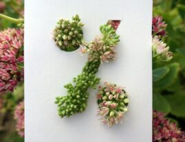 Codes de réductions et promotions pour créateurs et entrepreneurs