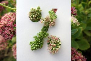 Lire la suite à propos de l’article Codes de réductions et promotions pour créateurs et entrepreneurs