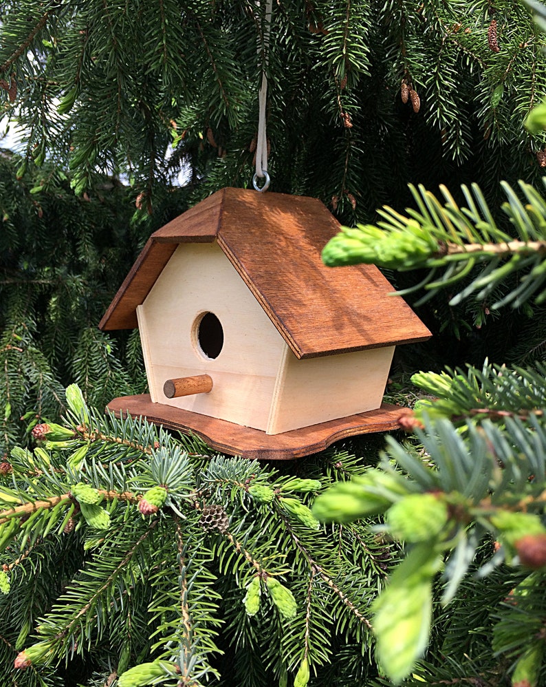 Les Nichoirs pour Oiseaux : Comment Choisir le Modèle Idéal pour Attirer les Espèces de Votre Jardin 13 1SyiIR1bagyObD 10ZPu