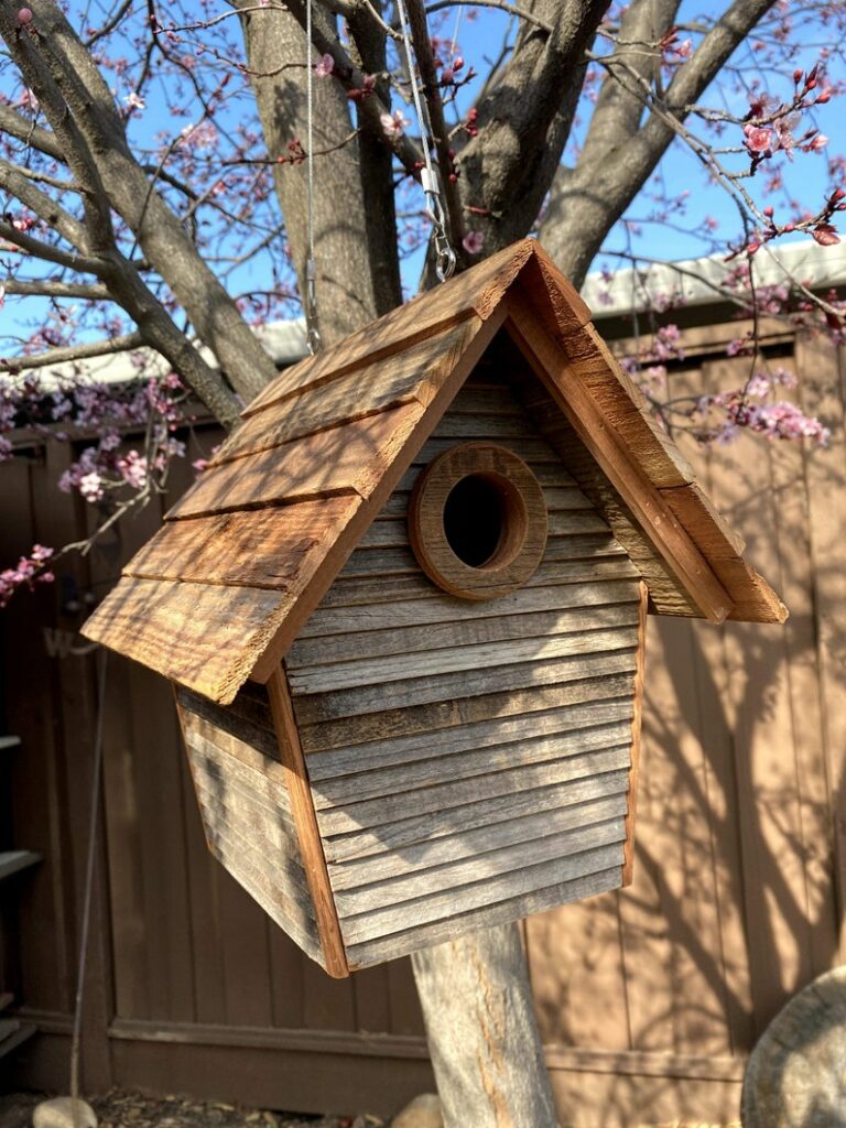 Les Nichoirs pour Oiseaux : Comment Choisir le Modèle Idéal pour Attirer les Espèces de Votre Jardin 10 1SyiXR1tuze3pJ t3u6B